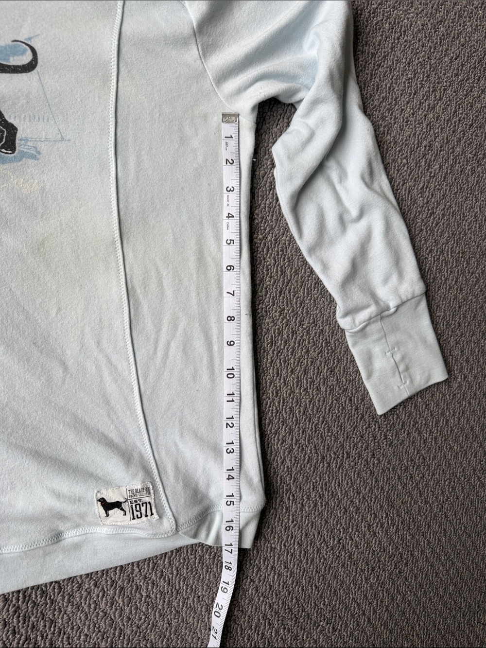 Black Dog Light Blue Hoodie, Generously sized and soft - Picture 8 of 10